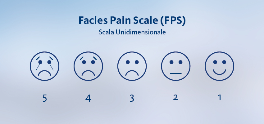 scala face scala face