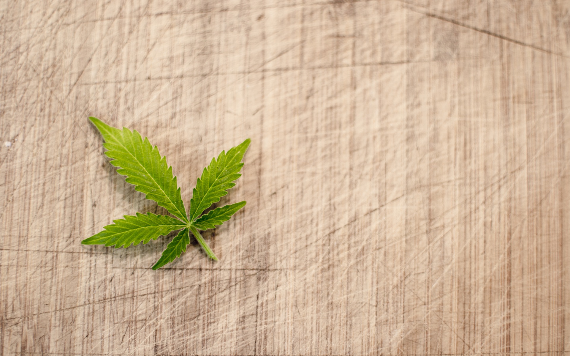 Cannabis terapeutica: l’appello dei pazienti al governo per un disatteso diritto alla salute Cannabis terapeutica: l’appello dei pazienti al governo per un disatteso diritto alla salute